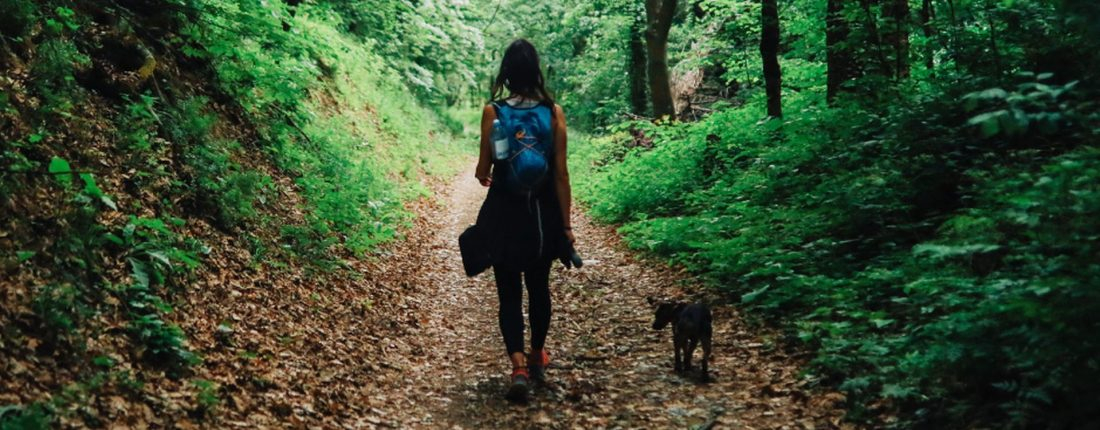 Wanderung Lochbachklamm