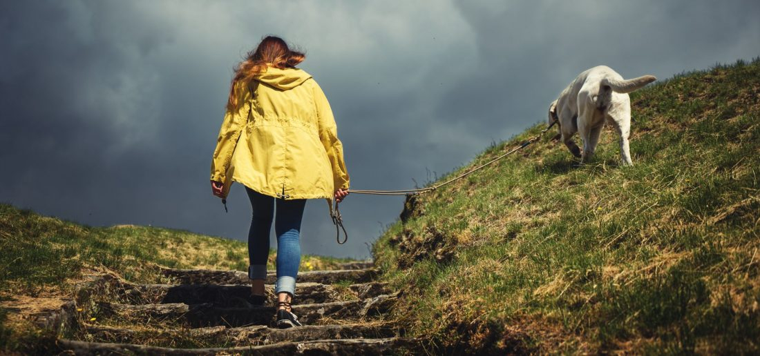 Wanderungen rund um Homberg & um Alheim